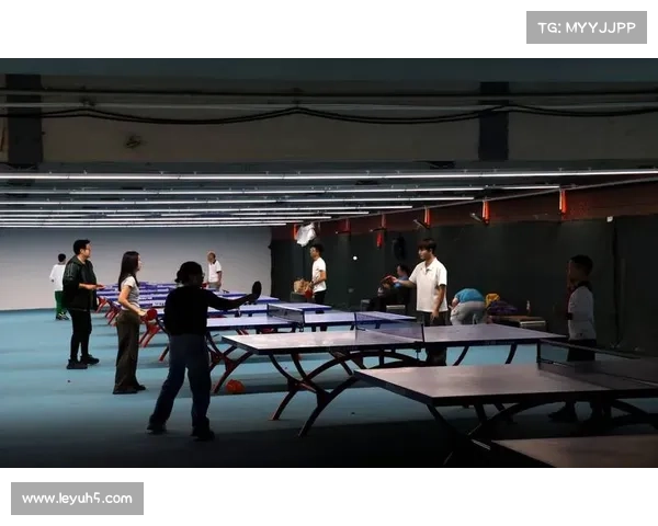 体育应用场景持续拓展 融入日常生活